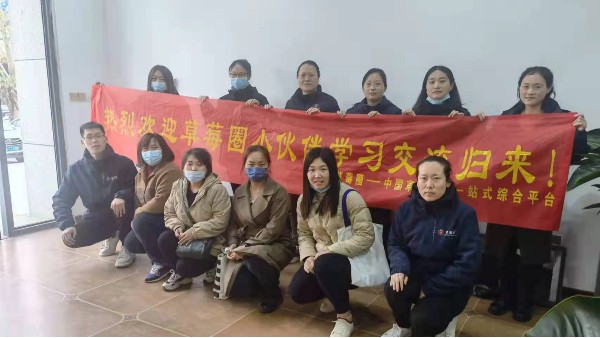 致力于草莓种植技术，服务草莓种植户，草莓圈组织员工外出学习凯旋而归