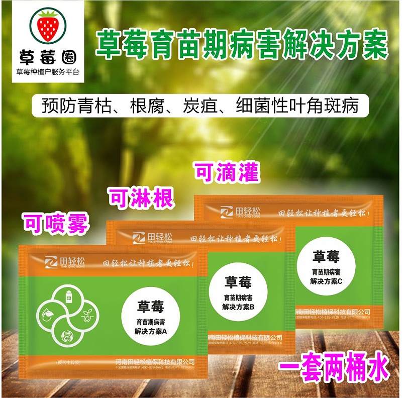草莓育苗病害解决方案3 草莓育苗病害解决方案3