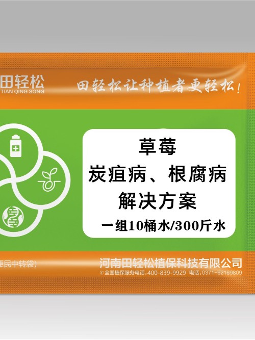 草莓根腐病、草莓炭疽病防治解决方案上草莓圈