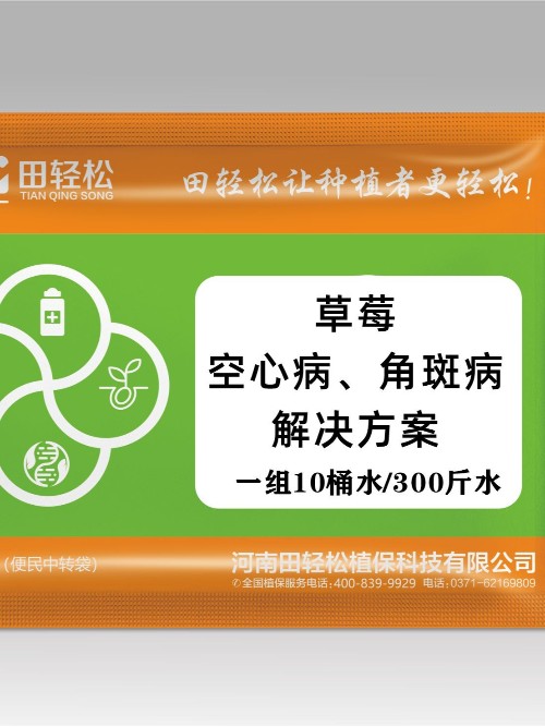 草莓空心病、草莓细菌性角斑病防治解决方案上草莓