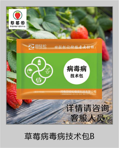 草莓圈草莓病毒病解决方案