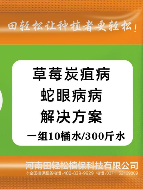 草莓炭疽病草莓蛇眼病防治方案上草莓圈轻松种草莓