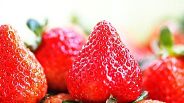草莓大量元素水溶肥料用什么？草莓缺素症状？
