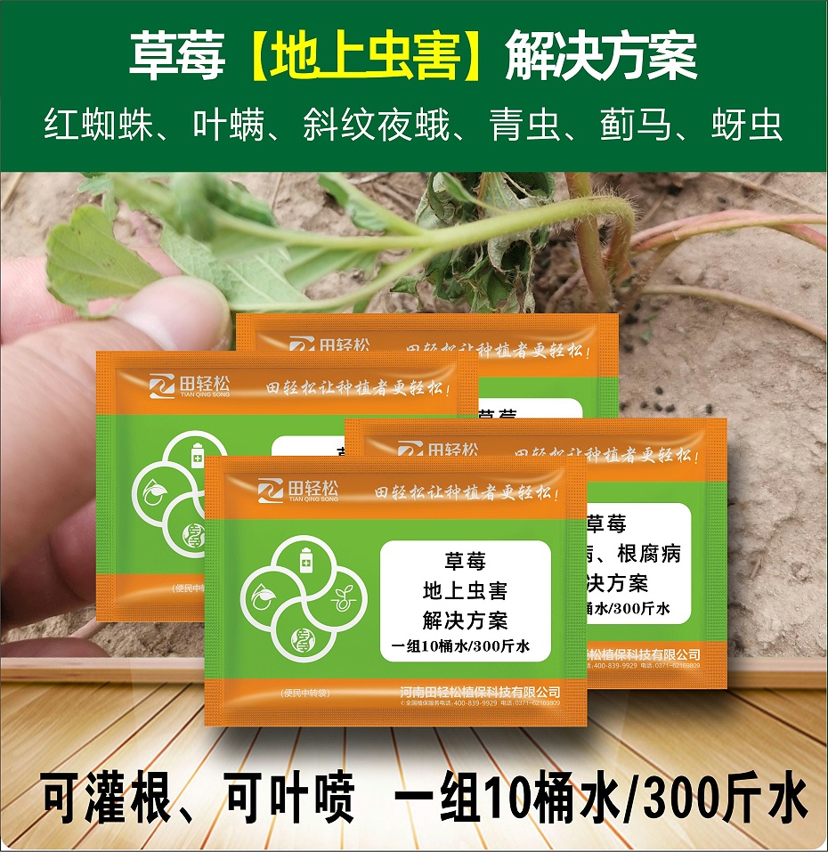 地上害虫