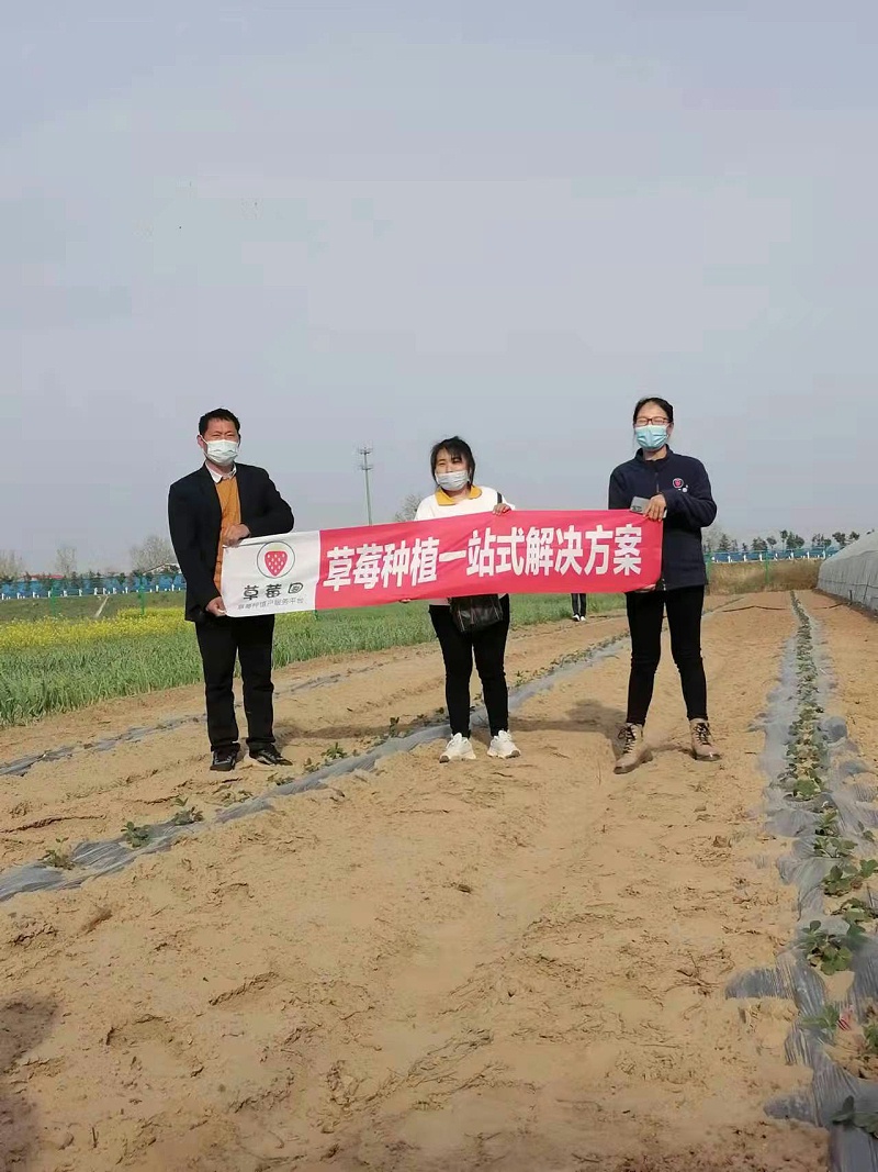 一起行动1