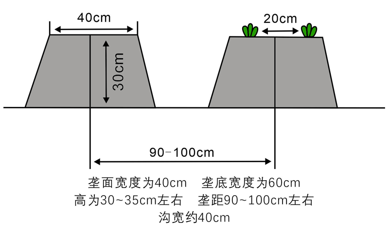 起垄数据